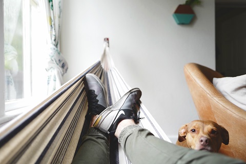 Legs at rest in a hammock while a dog looks on