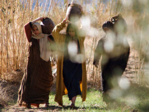 Three women walking through fields of grain with jars of spices