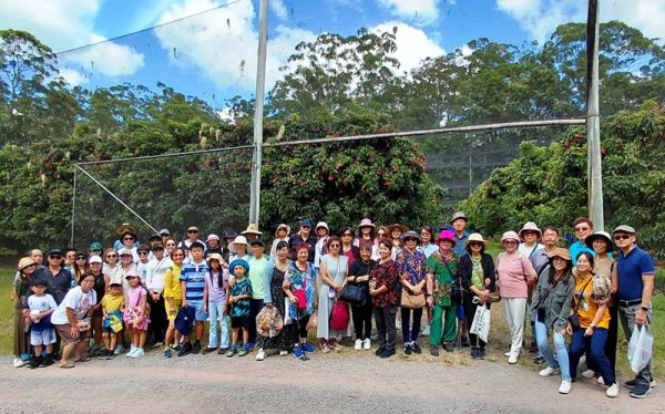 Sunshine Coast Lychee Farm Day Trip on February 2026
