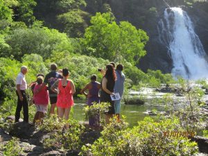 Waterfall Wujal Wujal