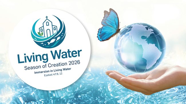 260812_Season-of-Creation-2026-resources